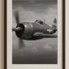 World War Era Plane Photograph