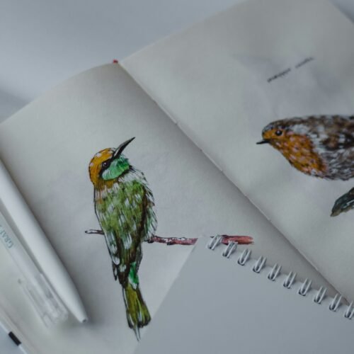 Drawing of a bird on a notebook page