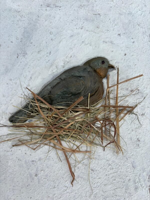 The Last Nest The Last Nest