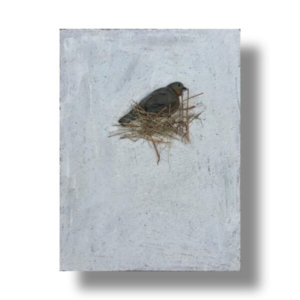 Picsart_25-08-28_22-00-55-551 The Last Nest